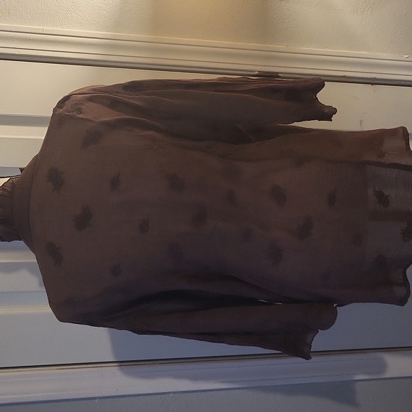 Kyla Seo Button-Up Blouse with Ruffle Trim And Embroidery - Picture 4 of 9